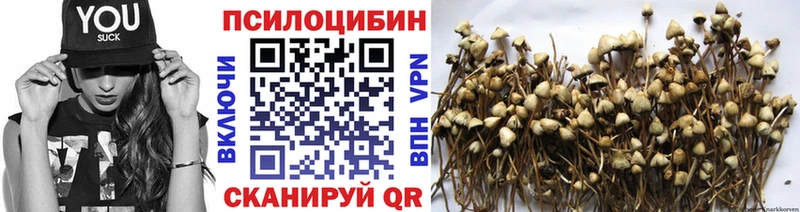 Псилоцибиновые грибы Cubensis  hydra ТОР  Козельск 